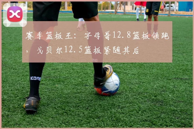 赛季篮板王：字母哥12.8篮板领跑，戈贝尔12.5篮板紧随其后